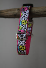 Laden Sie das Bild in den Galerie-Viewer, Hundehalsband Skulls bunt