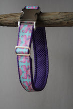 Laden Sie das Bild in den Galerie-Viewer, Hundehalsband Flamingo