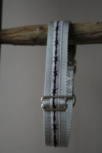 Laden Sie das Bild in den Galerie-Viewer, Hundehalsband Stacheldraht